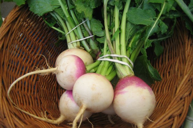 turnips